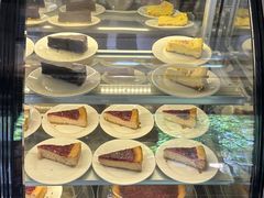 -萨尔瓦多Salvador's