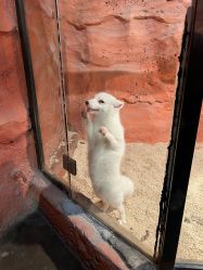 -Zoolung Zoolung动物主题公园(海信广场店)