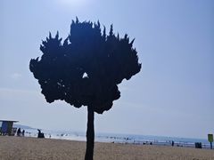 -青岛第一海水浴场