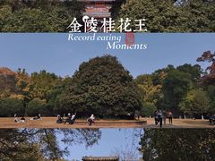 -灵谷景区