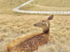 -盈香心动乐园