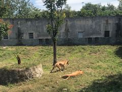 -西安秦岭野生动物园