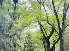 -森林公园(尖草坪区)