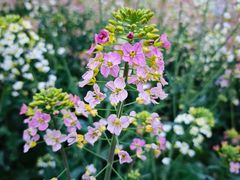 -中国天府农业博览园