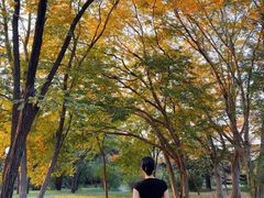 -国家植物园南园