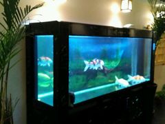 -鸥迪足道(时光海店)