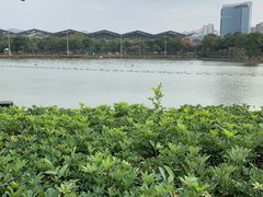 -紫马岭公园