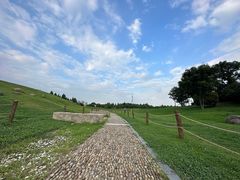-滆湖低碳生态公园