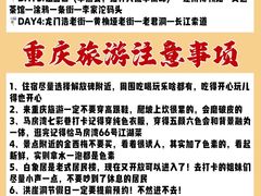 -丁家坡洋芋·观音桥好吃街A区(全国总店)