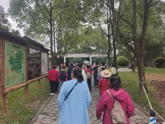 -龙水峡地缝景区