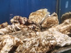 -应时肥牛火锅居(联合路店)