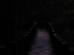-田心森林公园