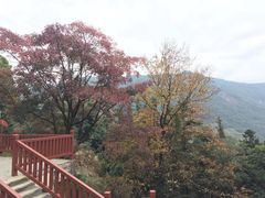 -广州市石门国家森林公园