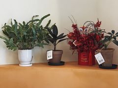-fishtank鱼缸咖啡(三山街店)