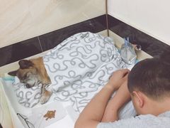 -安安宠医·安宠宠物医院