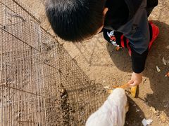 -前小桔亲子创意农场·草莓采摘·露营烧烤