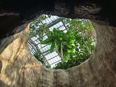 -南山植物园