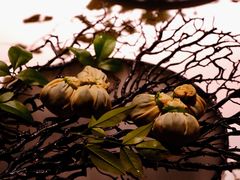 云腿野菜石榴包-解香楼(八盘岭路店)