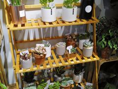 -The Green Party(嘉里中心店)