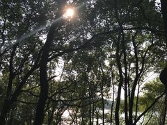 -天目湖山水园