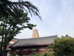 -大雁塔北广场音乐喷泉