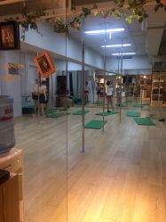 点击看大图 -华翎国际钢管舞培训