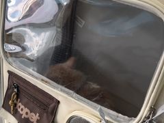 -半岛宠物医院24小时(白果林店)