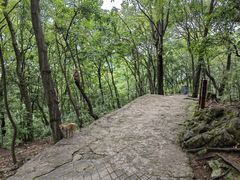 -黔灵山公园