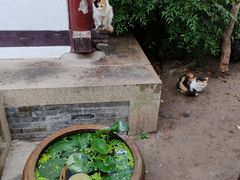 -常熟方塔园