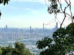 -火炉山森林公园