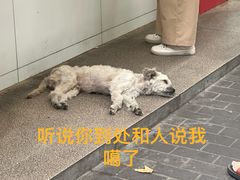 -章云板鸭(总店)