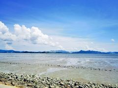 -深圳湾公园(南山区)
