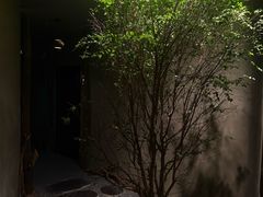 -森SPA·泰式按摩·精油Massage(宝安中心店)