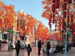 -沈阳方特欢乐世界