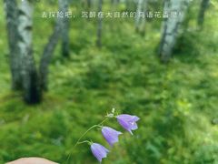 -哈乌尔河