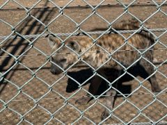 -鄂尔多斯野生动物园