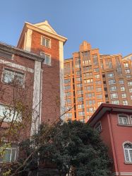 -复旦大学附属妇产科医院(黄浦院区)