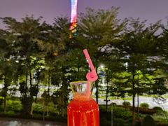-海心沙亚运公园