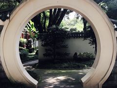 -铁山坪森林公园