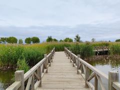 -野鸭湖国家湿地公园