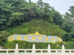 -庐山风景名胜区-东林大佛