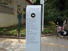 -三里屯东五街银杏大道