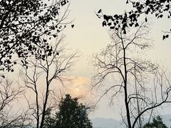 -金海湾滨江公园