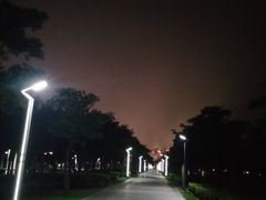 -万绿园