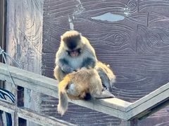 -重庆云阳龙缸景区