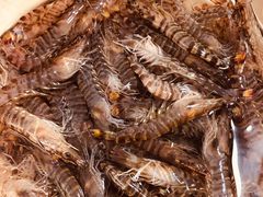 -湘汇概念铁板烧(铁西万达店)