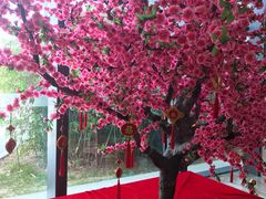 -北京园博大酒店