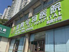 -瑞鹏宠物医院·内科·中兽医·骨科(苗圃店)
