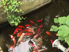 -老洋房花园饭店(绍兴路店)