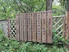 -香山公园